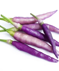 Purple Cayenne Pepper Seeds - Hot Capsicum Annuum - 50 Seeds - Image 2