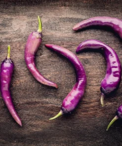 Purple Cayenne Pepper Seeds - Hot Capsicum Annuum - 50 Seeds - Image 8