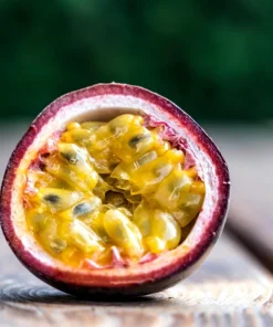 Purple Passion Fruit Live Plant - Edible Climbing Vine, 4-6" Tall Starter - Image 1