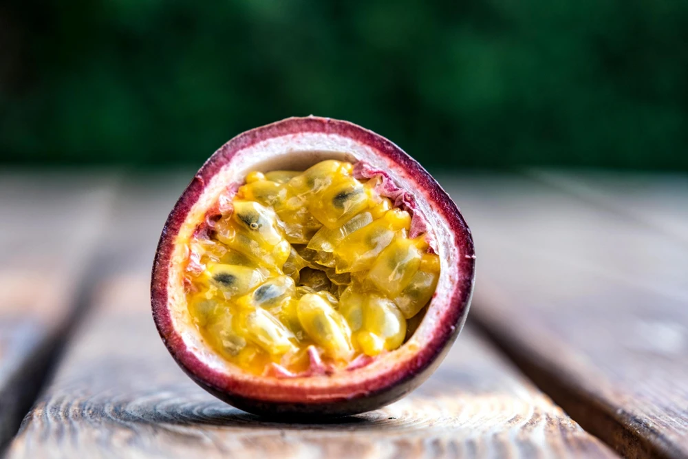 Purple Passion Fruit Live Plant - Edible Climbing Vine, 4-6" Tall Starter - Image 1