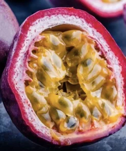 Purple Passion Fruit Live Plant - Edible Climbing Vine, 4-6