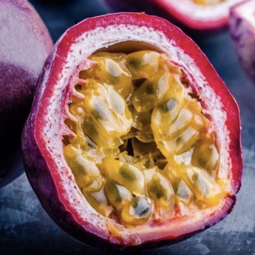 Purple Passion Fruit Live Plant - Edible Climbing Vine, 4-6" Tall Starter - Image 4