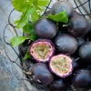 Purple Passion Fruit Live Plant - Edible Passiflora Vine Tree - Image 1
