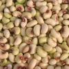 Purple Pinkeye Cowpea Seeds - 50 Count Vegetable Legume Seeds for Southern Gardens - Image 1