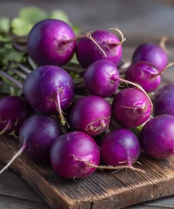 Purple Plum Radish Seeds - Heirloom, Crisp, Vibrant, 250 Seeds - Image 2