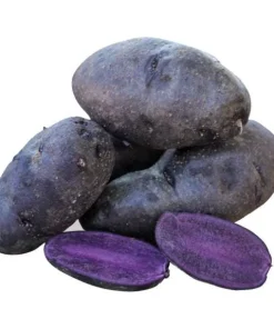 Purple Potato Seeds for Planting - 210 Count, Easy Growing - Image 2