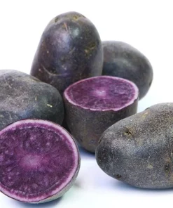 Purple Potato Seeds for Planting - 210 Count, Easy Growing - Image 5
