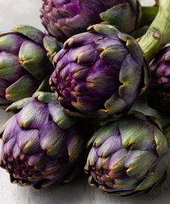 Purple Romagna Artichoke Seeds – 25 Count Heirloom Perennial for Gardens - Image 2