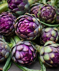 Purple Romagna Artichoke Seeds - 25 Heirloom Perennial Seeds for Edible Gardens - Image 1
