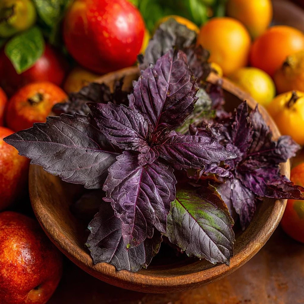 Purple Ruffles Basil Seeds - 150 Heirloom Aromatic Herb Seeds - Image 3