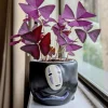 Purple Shamrock Live Plant – Oxalis triangularis Houseplant – Easy Care Indoor - Image 1