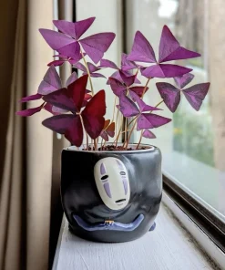 Purple Shamrock Live Plant – Oxalis triangularis Houseplant – Easy Care Indoor - Image 1
