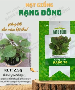 Purple Shiso Seeds - Japanese Perilla Basil Seeds for Planting (Approx. 1400 Seeds) - Image 4