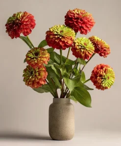 Queen Red Lime Zinnia Seeds - 10 Pack | Zinnia Elegans Blooms for Garden - Image 2
