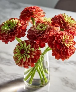 Queen Red Lime Zinnia Seeds - 10 Pack | Zinnia Elegans Blooms for Garden - Image 3