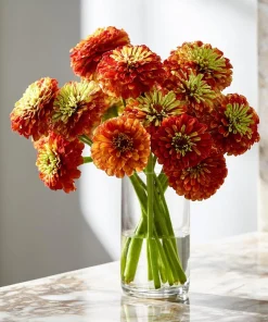 Queen Red Lime Zinnia Seeds - 10 Pack | Zinnia Elegans Blooms for Garden - Image 5