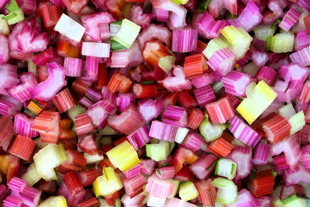 Rainbow Mix Swiss Chard Seeds - 150 Vegetable Seeds, Mixed Colors, Annual - Image 5