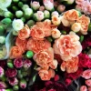 Rainbow Mixed Carnation Flower Seeds - 100 Dianthus Caryophyllus Seeds - Image 1