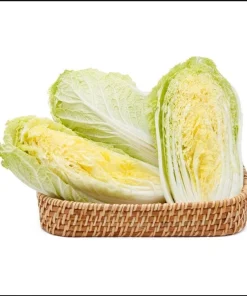 Rambo Napa Cabbage Seeds - 120 Seeds for Planting | Easy Grow Vegetable Seeds - Image 2