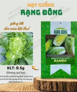 Rambo Napa Cabbage Seeds - 120 Seeds for Planting | Easy Grow Vegetable Seeds - Image 3