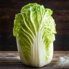 Rambo Napa Cabbage Seeds - 120 Seeds for Planting | Easy Grow Vegetable Seeds - Image 1