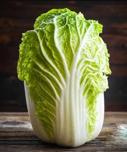 Rambo Napa Cabbage Seeds - 120 Seeds for Planting | Easy Grow Vegetable Seeds - Image 1
