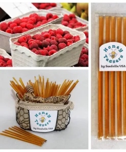 Raspberry Honey Snack Sticks - 5 Pack Natural Honeystix Straws - Image 1