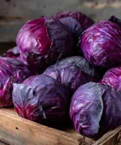 Red Acre Cabbage Seeds - 150 Count Heirloom Vegetable for Gardens - Image 2