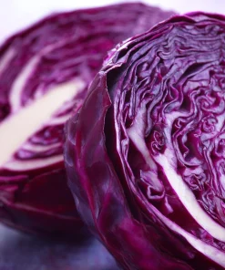 Red Acre Cabbage Seeds - 150 Count Heirloom Vegetable for Gardens - Image 4