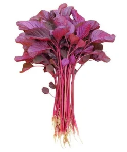 Red Amaranth Vietnamese Seeds - 7000 Heat-Loving Spinach Seeds for Planting - Image 2
