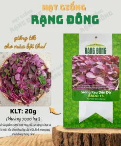 Red Amaranth Vietnamese Seeds - 7000 Heat-Loving Spinach Seeds for Planting - Image 3