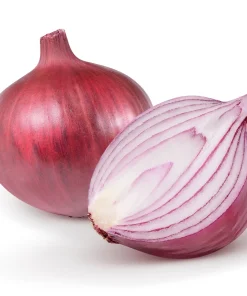 Red Burgundy Onion Seeds - 250 Allium Cepa Vegetable Seeds for Gardening - Image 1