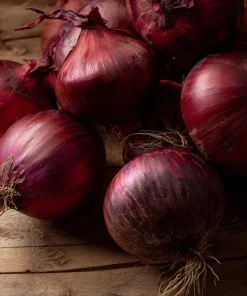 Red Creole Onion Seeds - 200 Heirloom Short Day Onions for Garden & Cooking - Image 3