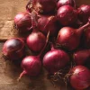 Red Creole Onion Seeds - 200 Heirloom Short Day Onions for Garden & Cooking - Image 1