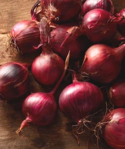 Red Creole Onion Seeds - 200 Heirloom Short Day Onions for Garden & Cooking - Image 1