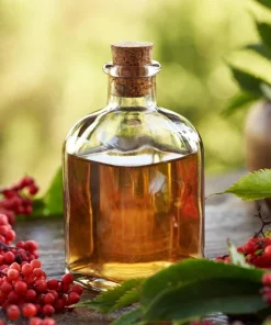 Red Elderberry Seeds (Sambucus Racemosa) - 100 Seeds for Growing Fruit Trees - Image 10