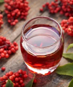 Red Elderberry Seeds (Sambucus Racemosa) - 100 Seeds for Growing Fruit Trees - Image 11