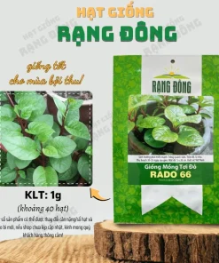 Red Malabar Spinach Seeds - 200 Seeds for Planting - Basella Rubra - Image 3