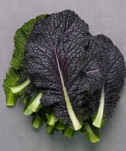 Red Mustard Seeds for Planting - Red Giant Gai Choy - 300 Seeds - Image 1
