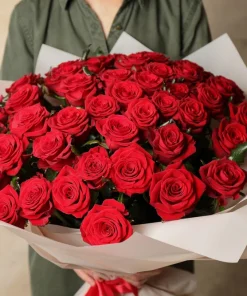 Red Rose Seeds - 5 Pack - Fragrant Perennial Flower Seeds - USDA Zones 2-11 - Image 8