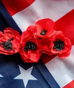 Red Shirley Poppy Seeds - Papaver Rhoeas Flower Seeds - 1000 Count for Outdoor Gardens - Image 1