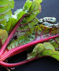 Rhubarb Red Swiss Chard Vegetable Seeds - 300 Seeds - Beta Vulgaris - Image 11