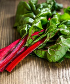 Rhubarb Red Swiss Chard Vegetable Seeds - 300 Seeds - Beta Vulgaris - Image 2