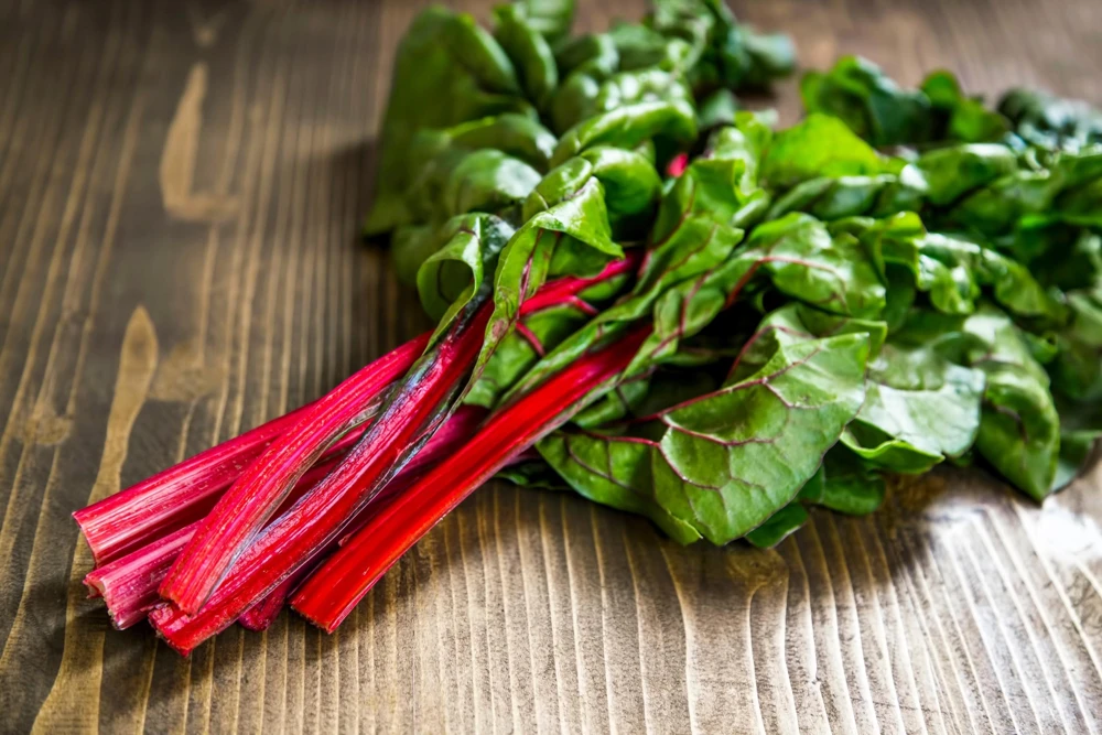 Rhubarb Red Swiss Chard Vegetable Seeds - 300 Seeds - Beta Vulgaris - Image 2