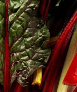 Rhubarb Red Swiss Chard Vegetable Seeds - 300 Seeds - Beta Vulgaris - Image 6