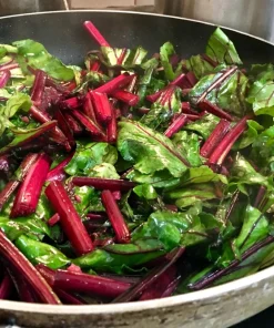 Rhubarb Red Swiss Chard Vegetable Seeds - 300 Seeds - Beta Vulgaris - Image 8