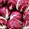 Rossa di Verona Radicchio Seeds - 100 Italian Chicory Vegetable Seeds - Image 1