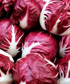 Rossa di Verona Radicchio Seeds - 100 Italian Chicory Vegetable Seeds - Image 1