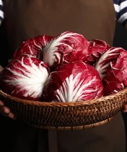 Rossa di Verona Radicchio Seeds - 100 Italian Chicory Vegetable Seeds - Image 5