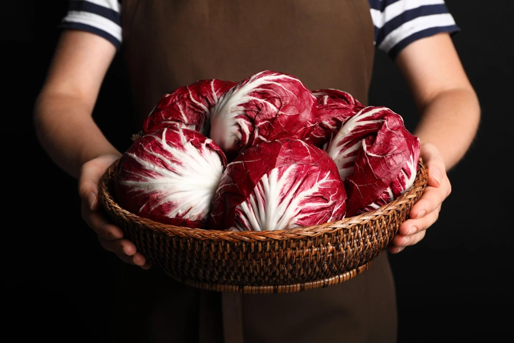 Rossa di Verona Radicchio Seeds - 100 Italian Chicory Vegetable Seeds - Image 5